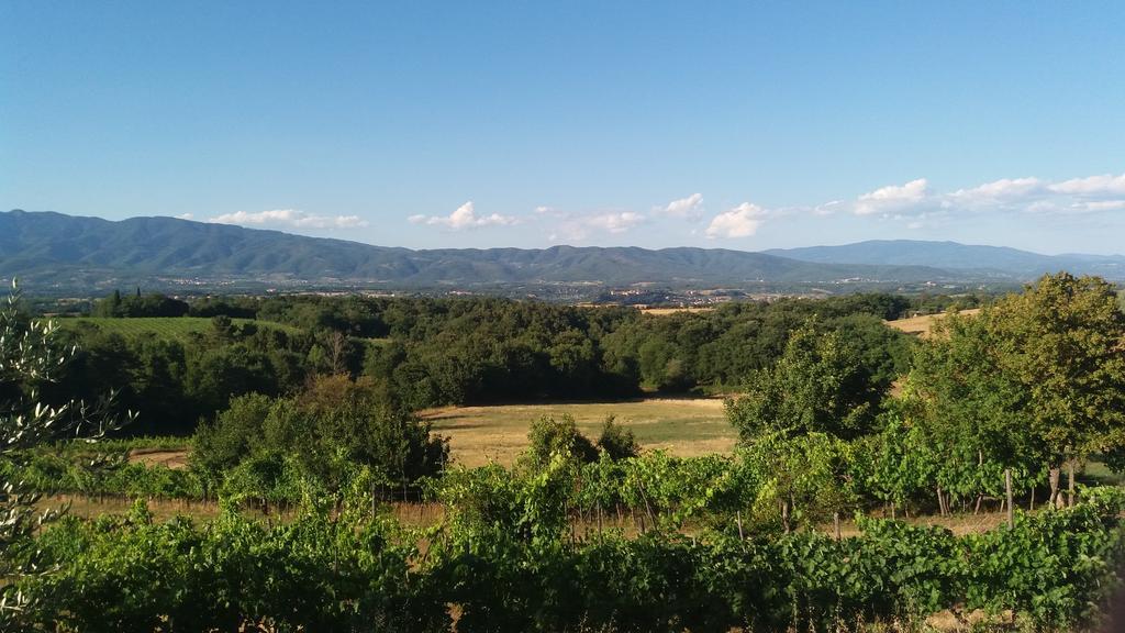 Bed and Breakfast Azzurre Beb Laterina Zewnętrze zdjęcie